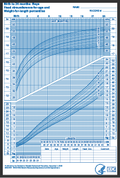 Rectangle