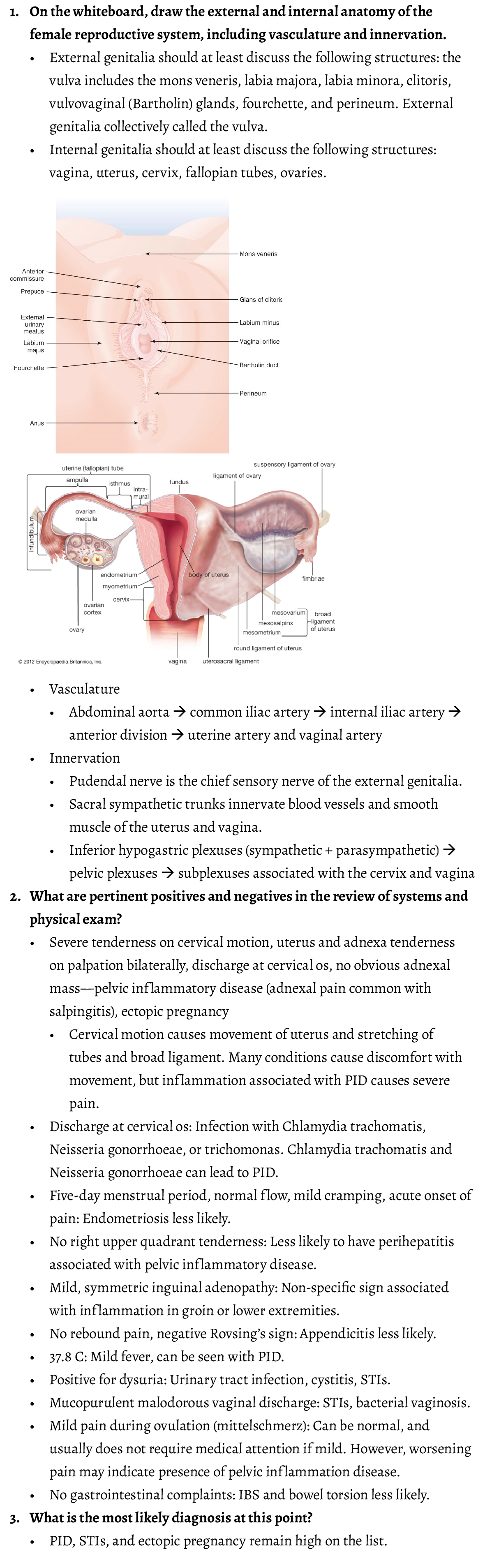 1. On the whiteboard, draw the external and internal anatomy of the female reproductive system, including vasculature...