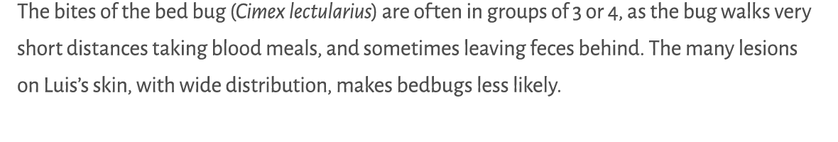 The bites of the bed bug (Cimex lectularius) are often in groups of 3 or 4, as the bug walks very short distances tak...