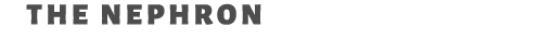 the nephron